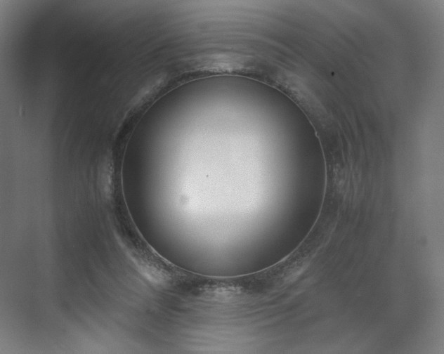 X0000071900304200607141341