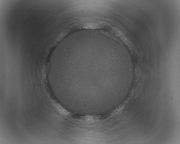 X0000071900305200607141341