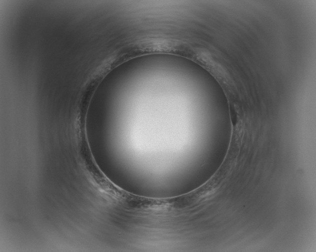X0000071900306200607141341