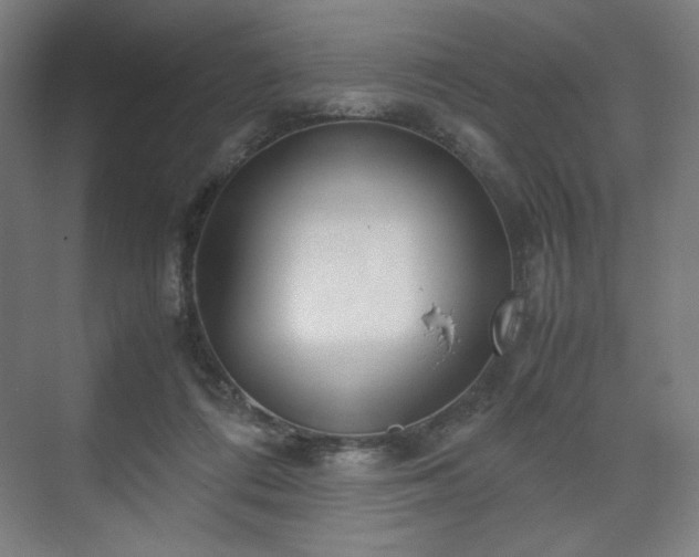 X0000071900312200607141341
