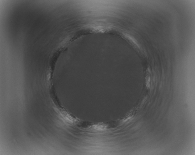 X0000071900314200607141341