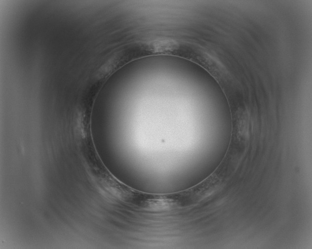 X0000071900316200607141341
