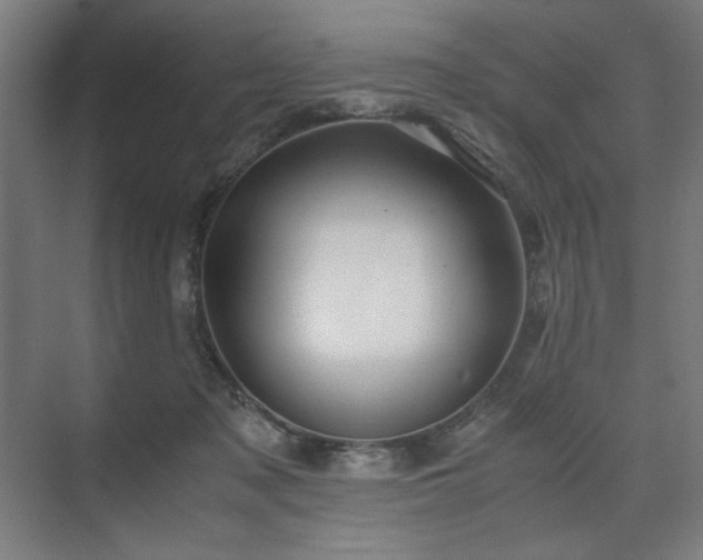 X0000071900317200607141341