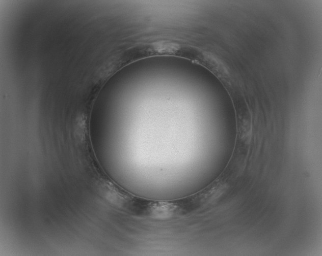 X0000071900321200607141341