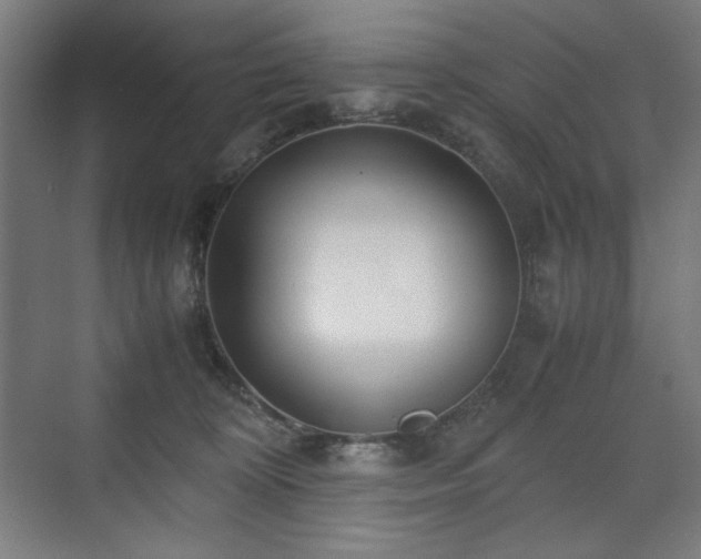 X0000071900324200607141341