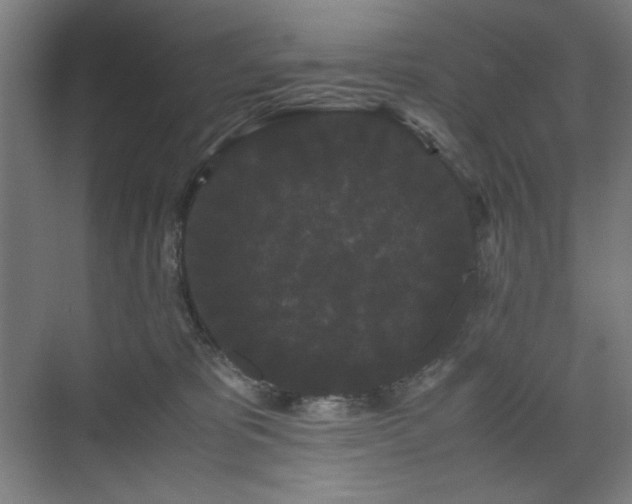 X0000071900325200607141341