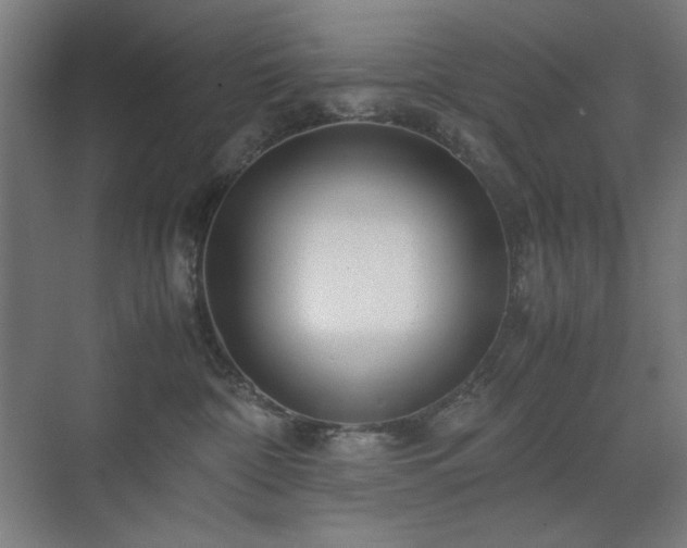 X0000071900332200607141341