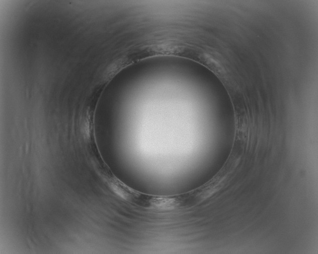 X0000071900334200607141341