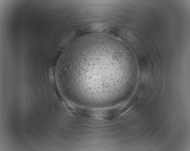 X0000071900335200607141341