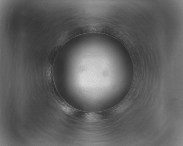X0000071900336200607141341