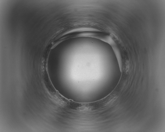 X0000071900356200607141340