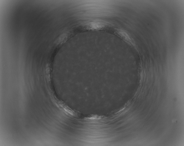 X0000071900366200607141340
