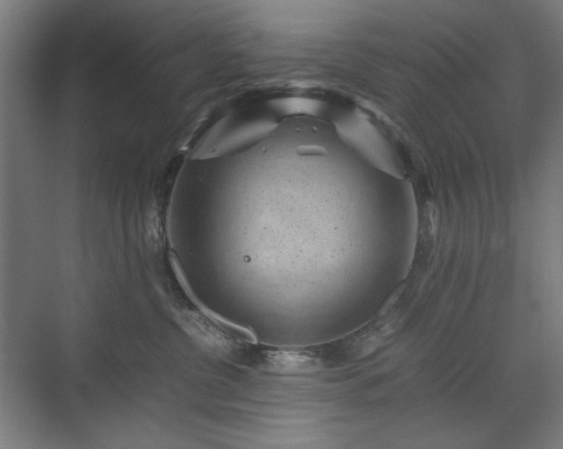 X0000071900380200607141340