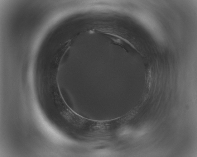 X0000071900383200607141341