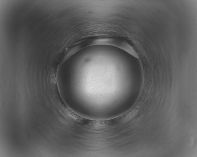 X0000071900384200607141341