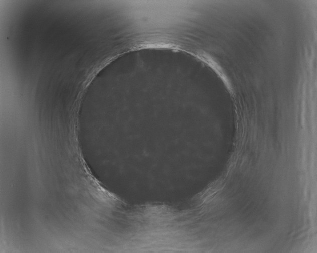 X0000071900385200607141340