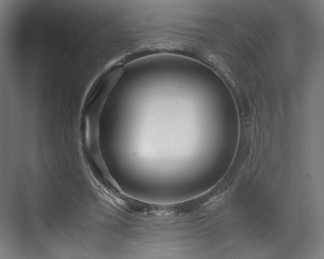 X0000071900395200607141340