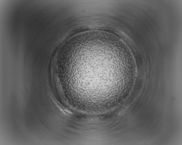 X0000071900405200607141339