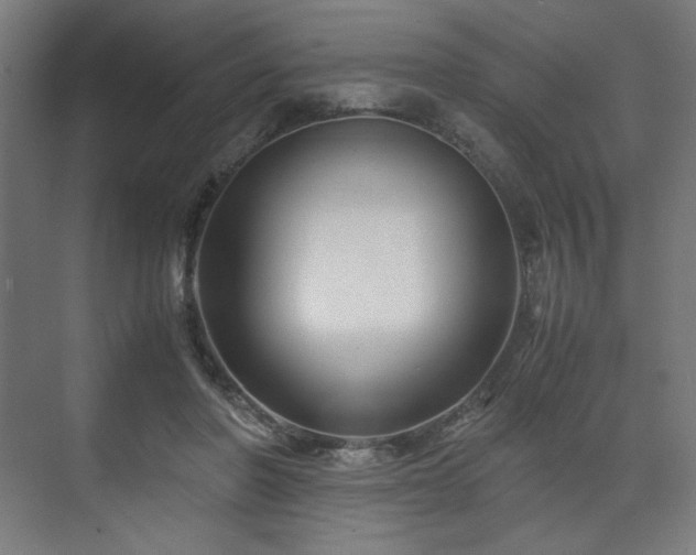 X0000071900406200607141339