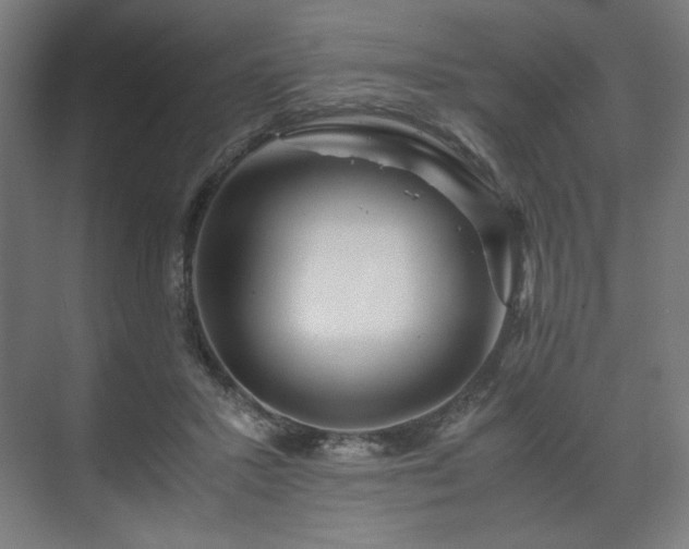 X0000071900407200607141339