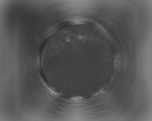X0000071900410200607141339