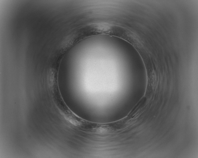 X0000071900412200607141339