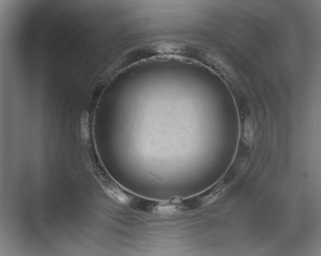 X0000071900413200607141339