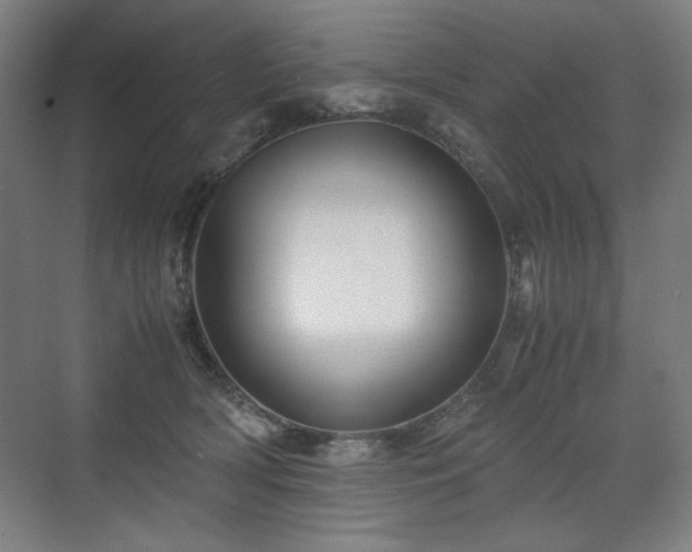X0000071900418200607141339