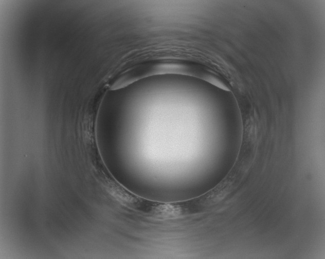 X0000071900421200607141339