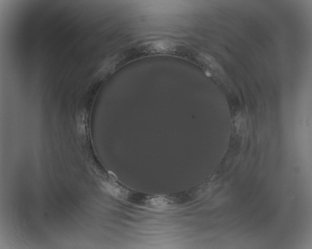 X0000071900423200607141339