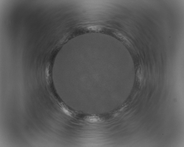 X0000071900424200607141339