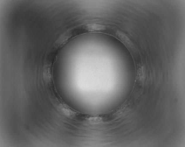 X0000071900426200607141339