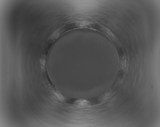 X0000071900427200607141339