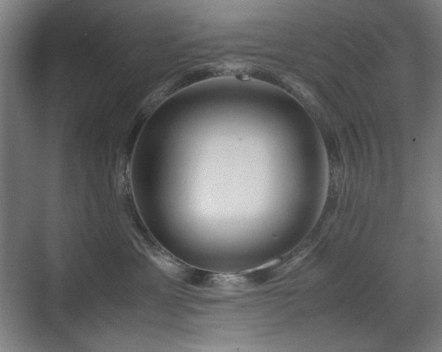 X0000071900429200607141339