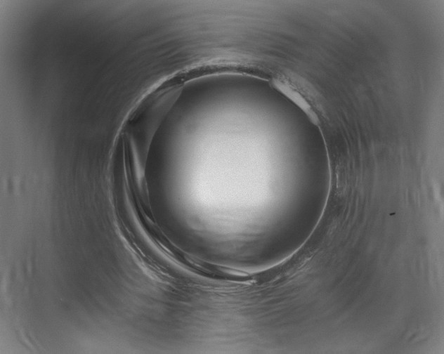 X0000071900436200607141338