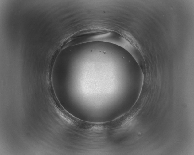 X0000071900441200607141338