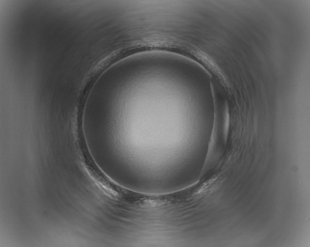 X0000071900442200607141338