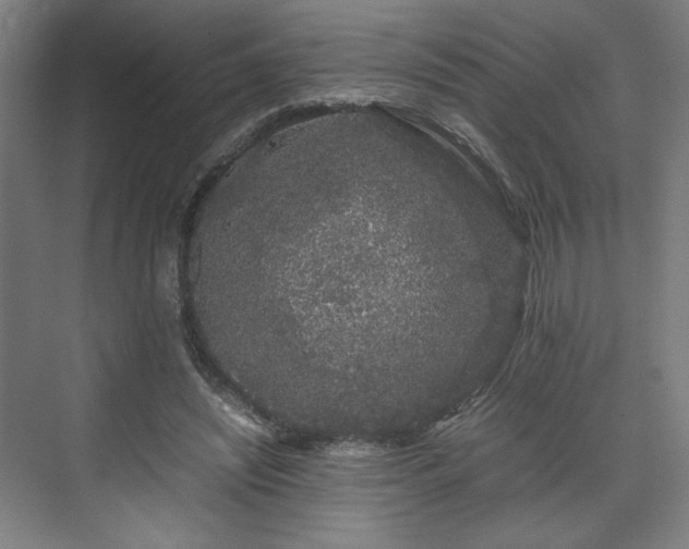 X0000071900444200607141338