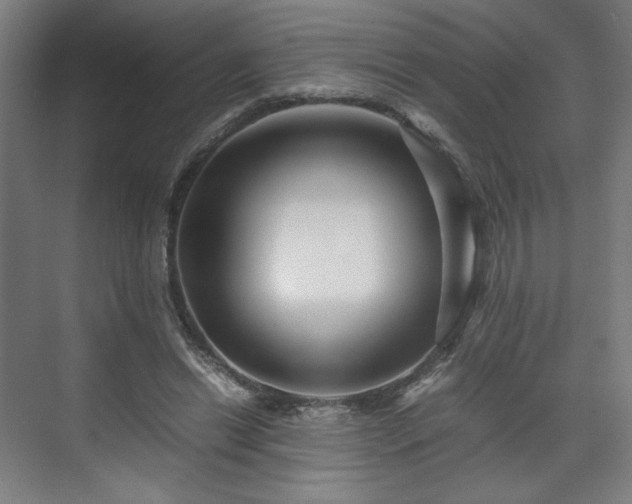 X0000071900446200607141338