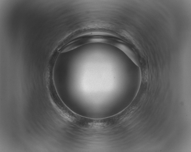 X0000071900448200607141338