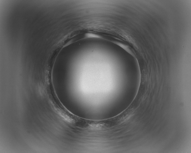 X0000071900450200607141338