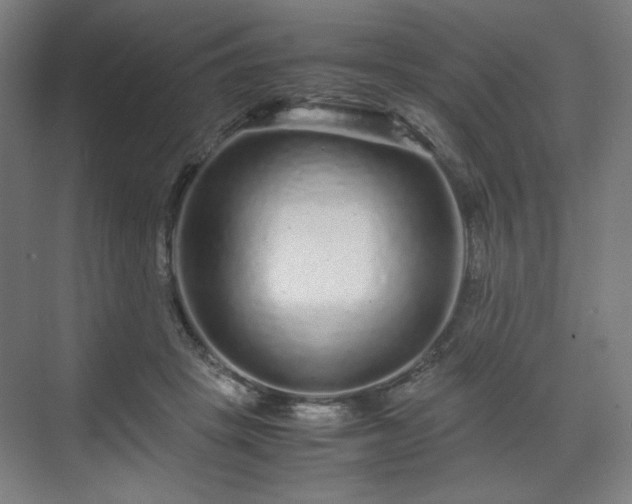 X0000071900457200607141339
