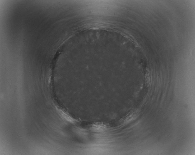 X0000071900458200607141339