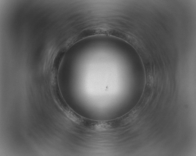 X0000071900468200607141339