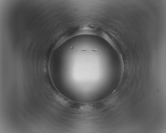 X0000071900470200607141339