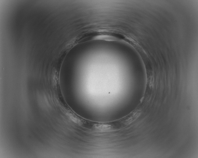 X0000071900476200607141339