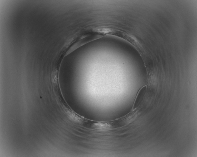 X0000071900477200607141339