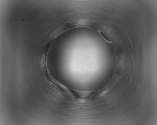 X0000071900478200607141339