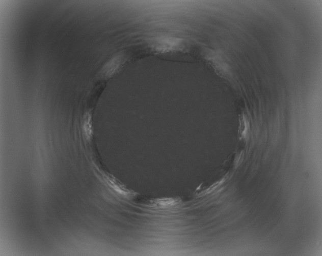 X0000071900479200607141339