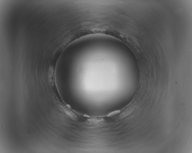X0000071900480200607141339